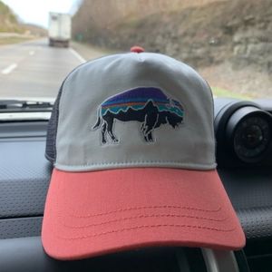 Patagonia Fitz Roy Layback Bison Trucker Hat